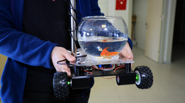 Adana’da sıra dışı proje: Bu arabanın şoförü bir Japon balığı