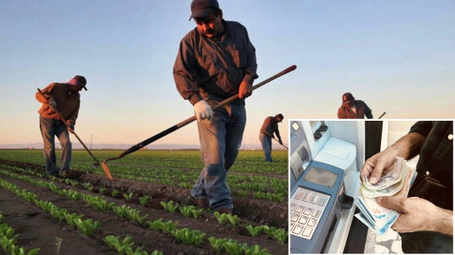 Bakanlık çiftçilere müjdeyi duyurdu: Ödemeler bugün yapılacak