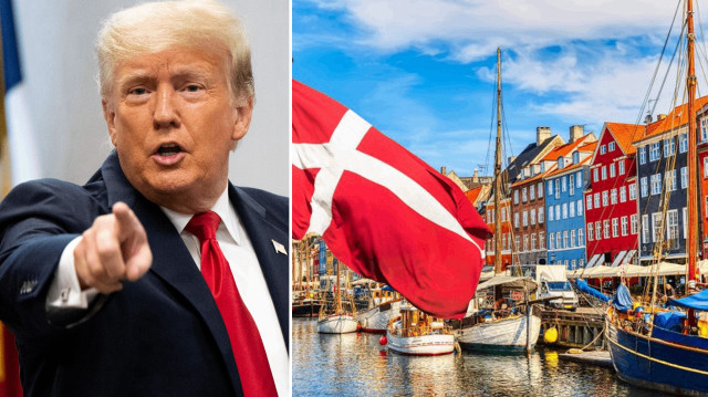 Danimarkalılar kampanya başlattı: Grönland’a karşılık California