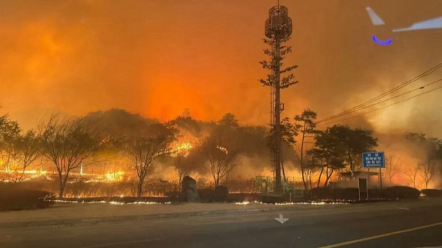 Güney Kore’deki orman yangınlarında bilanço ağırlaşıyor