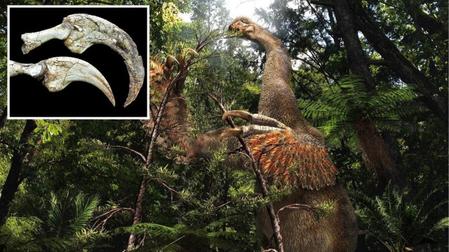 Kanada’da bilim insanları ‘iki parmaklı yeni dinozor türü’ keşfetti