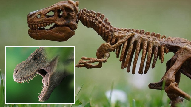 Milyonlarca yıl önce yaşamış iki parmaklı yeni dinozor türü keşfedildi