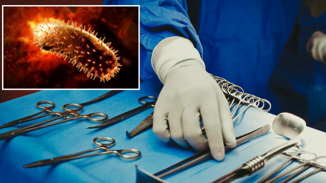 Organ nakli yapılan adam kuduz nedeniyle öldü