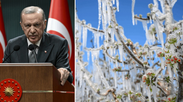 Cumhurbaşkanı Erdoğan’dan zirai don felaketi ile ilgili açıklama: Kritik ürünlerde arz riski yok
