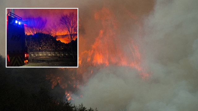 Güney Kore’de ağır bilanço: Orman yangınlarının yol açtığı hasar tahminlerin iki katı