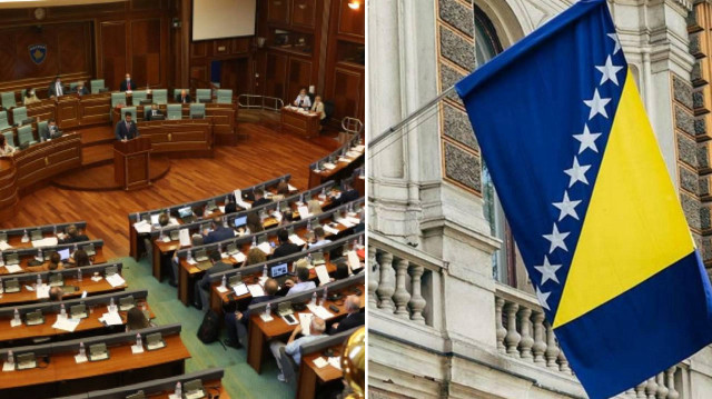 Bosna Hersek’te Meclis oturumu “yılan” nedeniyle ertelendi