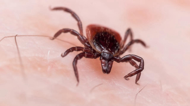 En fazla o yaş grubu risk altında: KKKA hastalığı tedavisi nedir?