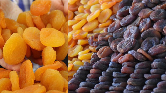 Malatya’dan yılın ilk 5 ayında 132 milyon dolarlık kuru kayısı ihraç edildi