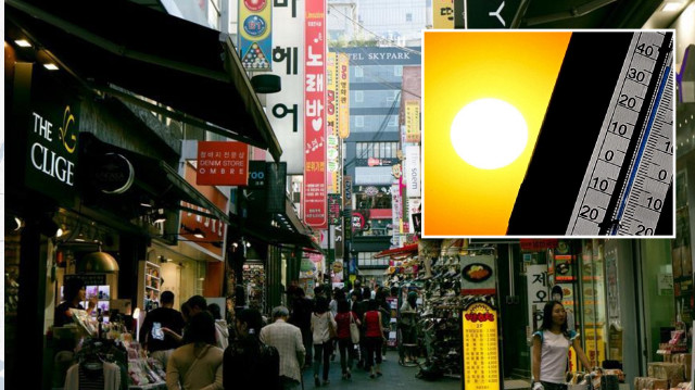 Aşırı sıcaklar nedeniyle Güney Kore’de can kaybı 13’e yükseldi