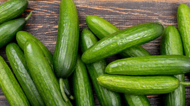 Binlerce kilo salatalık toplatılıyor: “Yenilmesi halinde sonuçlar ölümcül olabilir”