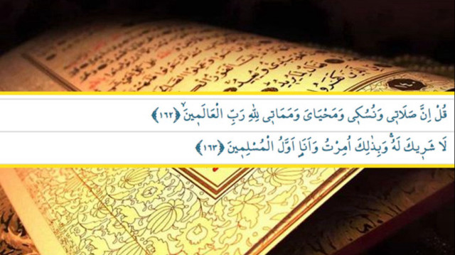 En’am 162. ve163. ayeti manası