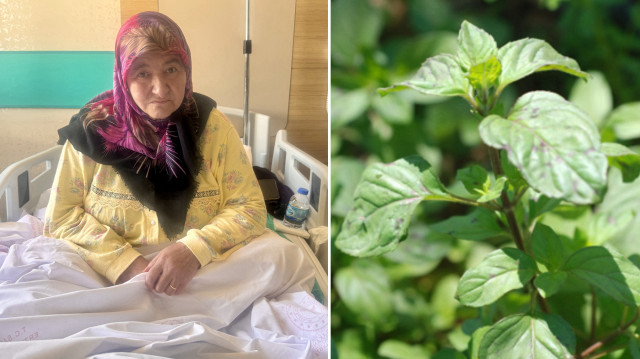 Erzurum’da yaşlı kadın ağrıyan bacağına ot sarınca hastanelik oldu