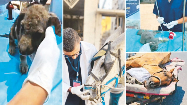 Gazzelilerin merhameti dünyaya örnek