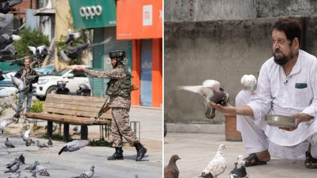 Hindistan’da güvercin beslemek yasaklandı: Sağlık krizi kapıda