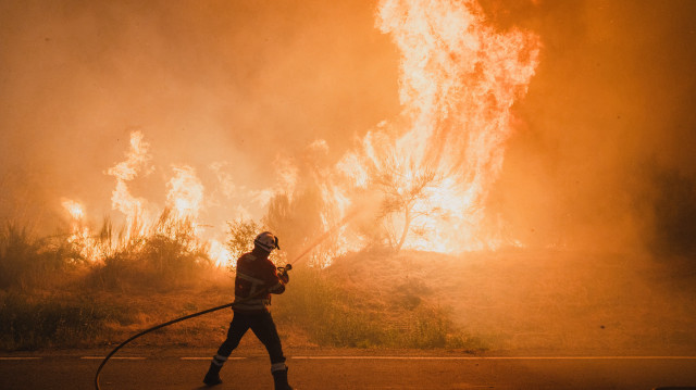 İspanya’daki yangınlar tarihi rekor kırdı: 344 bin hektardan fazla alan kül oldu