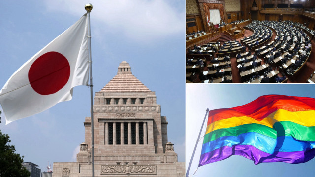Japonya’da LGBT dayatmasına tepki sandığa yansıdı