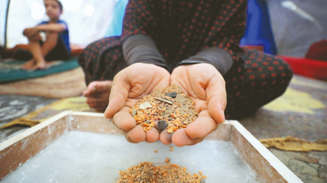 Kumlu da olsa ‘pirinç’: Hayatta kalmak için yemek zorundalar