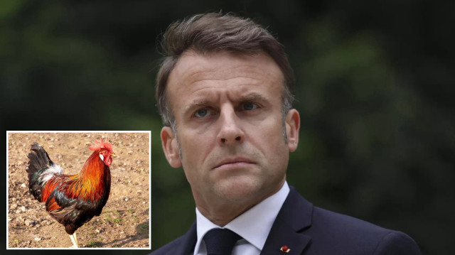 Medvedev’den Macron’a ‘Galya horozu’ benzetmesi