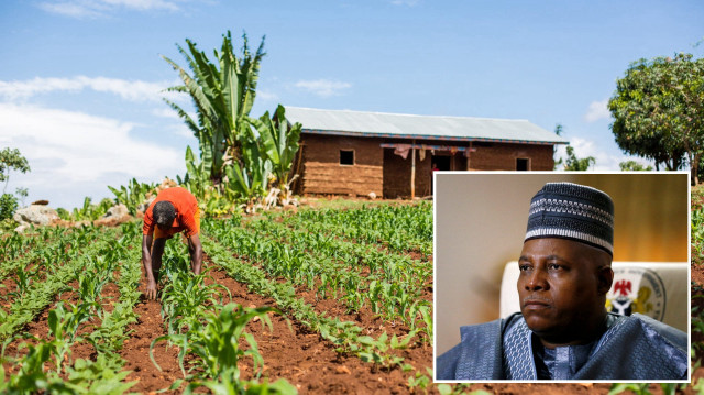 Nijerya gıda üretimini izlemek için yapay zeka ve iklim teknolojilerini kullanıyor