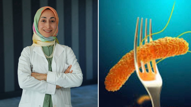 Sıcak havalarda artan “Salmonella” bakterisine dikkat