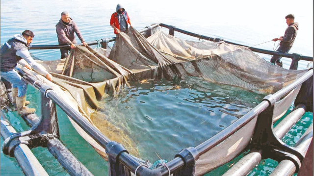Su ürünleri OTB’sine başvurular başladı