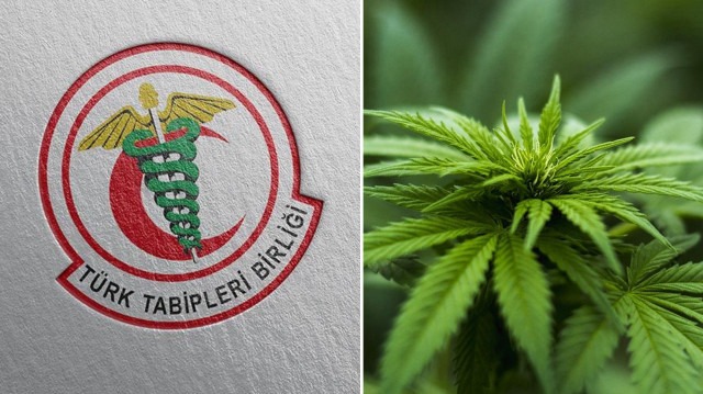 TTB’den kenevir kullanımıyla ilgili uyarı: Halk sağlığını tehdit ettiği belirtildi