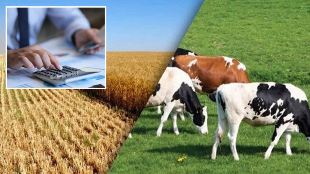 Yatırımcılara 240 Milyon TL’ye kadar destek imkânı: Yerel kalkınmaya dev teşvik