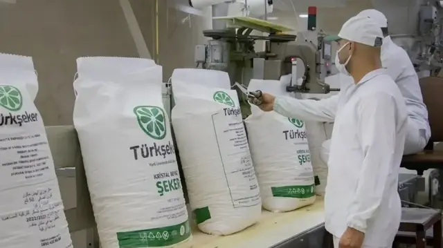 Bakanlıktan yeni açıklama: Şeker pancarı alım fiyatı güncellendi! Şeker pancarı alım fiyatı ne kadar oldu?