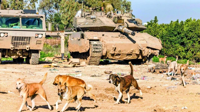 İsrail’in Gazze’de sebep olduğu insani kriz zirvede: Köpekler cenazeleri yiyor