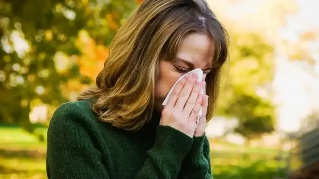 Alerji, nezle ve grip benzer semptomlar gösterse de tedavileri farklı