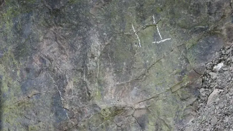 Çin’de yüzlerce milyon yıllık keşif: Yürüyüş yapan bir kişinin fark ettiği izler tarihe ışık tutuyor