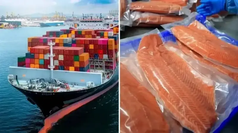 Doğu Karadeniz’in Türk somonu ihracatı 164 milyon doları aştı