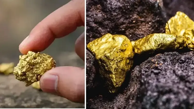 Dudak uçuklatan altın keşfi: 61 milyon tonluk rezerv bulundu