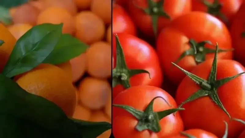 İstanbul’da ekimde en çok mandalina ve domates tüketildi