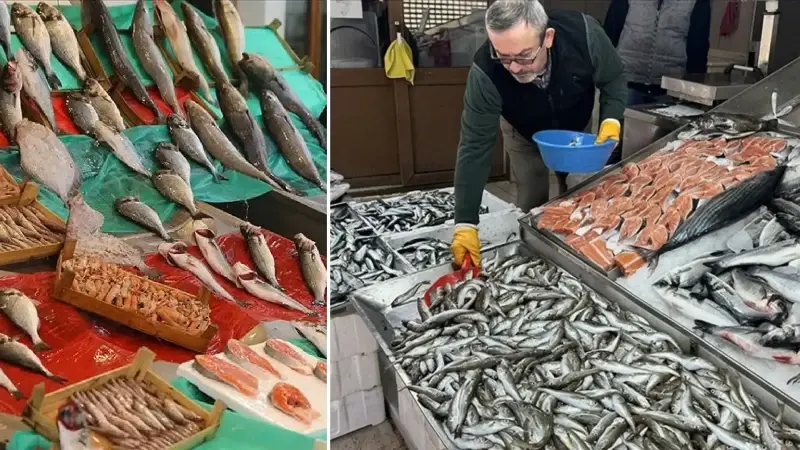 İstanbul’da halde bu sezon 13 bin 923 ton balık satışa sunuldu