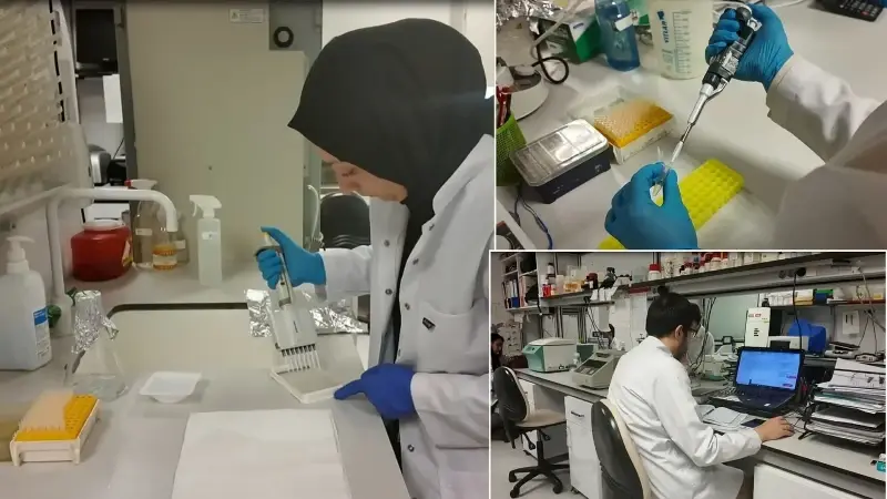 KKKA için yerli aşıda kritik eşik aşıldı: Klinik öncesi süreç başarıyla tamamlandı