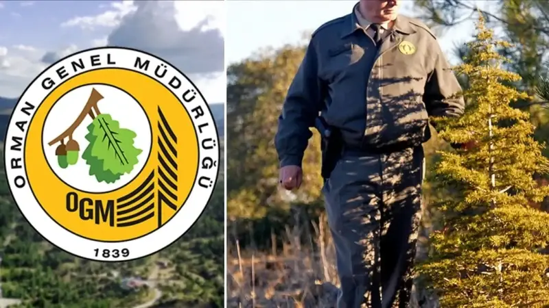 Orman Genel Müdürlüğünün 496 sözleşmeli personel alımına ilişkin detaylar belli oldu