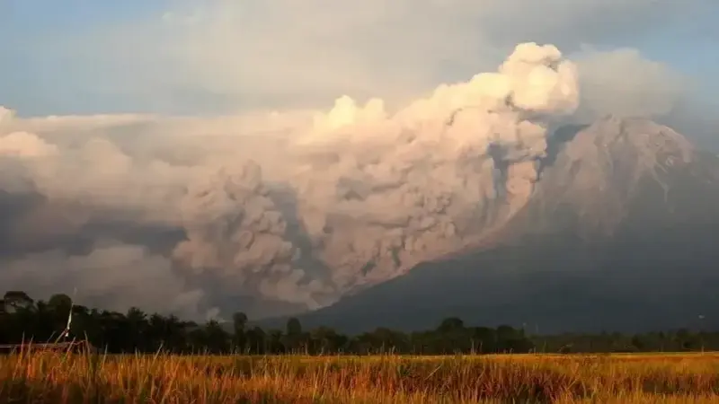 Semeru Yanardağı yeniden faaliyete geçti: Külleri 800 metre yüksekliğe ulaştı