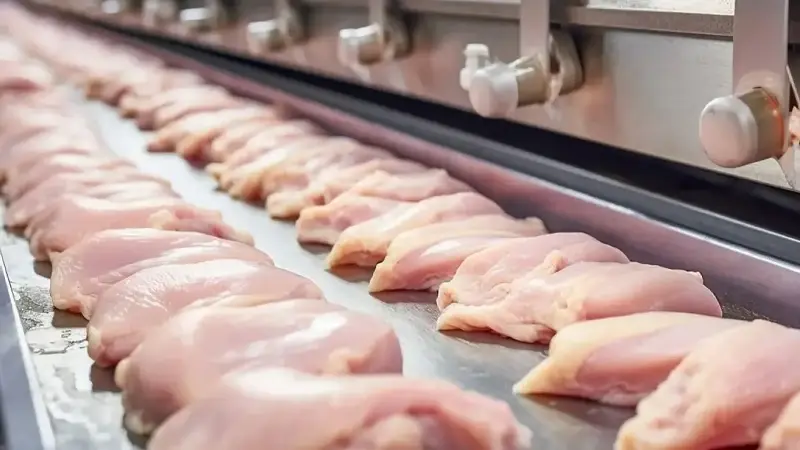 Tavuk eti zehirlenmeleri en fazla hazırlanma süreci hatalarından oluyor