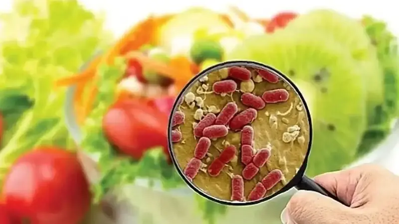 Uygun sıcaklıkta saklanmayan sokak lezzetleri gıda zehirlenmesine yol açabilir