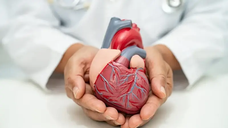 Uzmanlardan soğuk hava uyarısı: O kişiler için kalp krizi riski daha yüksek