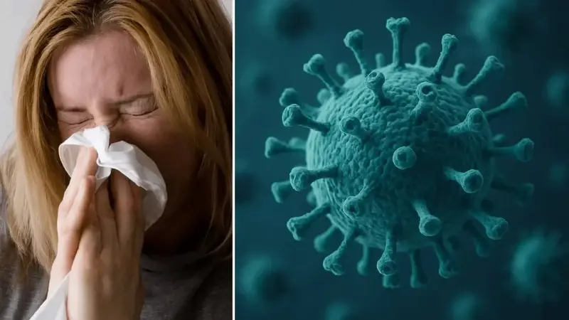 Yeni grip varyantı ortaya çıktı: Dünyada hızla yayılıyor, uzman isim uyarı yaptı