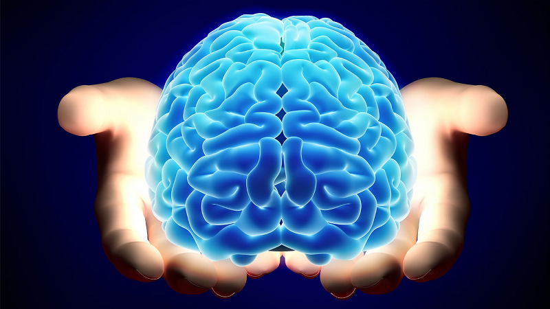 Yetersiz uyku ve işlenmiş gıdalar beyin sağlığını tehdit ediyor