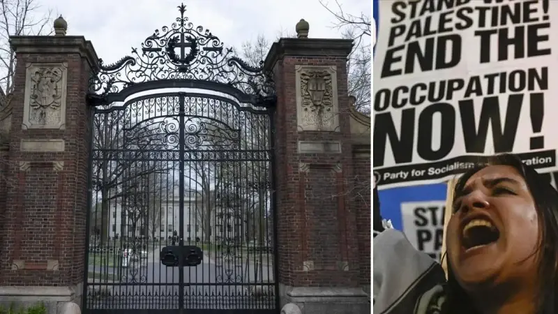 ABD Filistin’e destek gösterilerinin yapıldığı Harvard’a ‘Yahudi karşıtlığı’ davası açtı