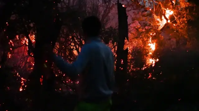 Arjantin Devlet Başkanı Milei yangınla mücadele bütçesini kesti: Arjantin’de 50 bin hektarlık alan kül oldu