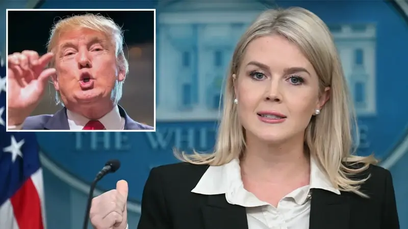 Beyaz Saray: Trump’ın ara seçim iptali konuşması ‘şakaydı’