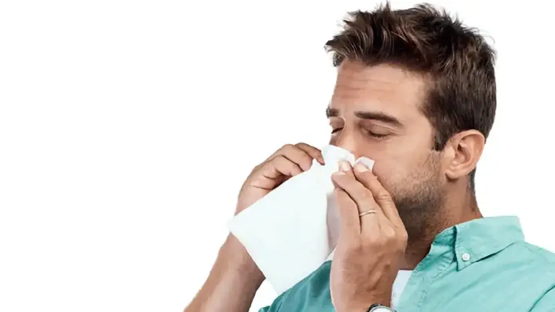 Bu kış domuz gribi daha kolay bulaşıyor