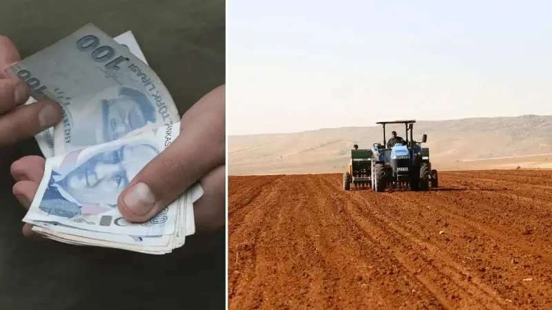 Çiftçilere destek ödemesi yarın yapılacak: 12,3 milyar TL hesaplara yatıyor