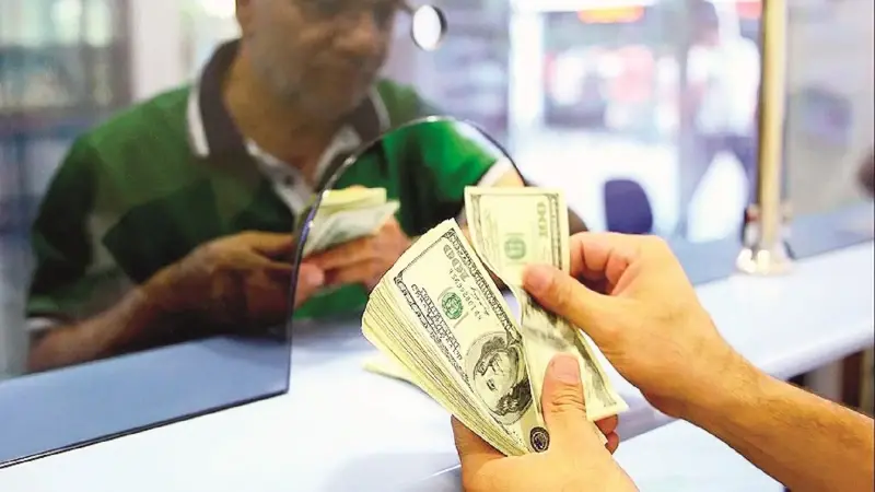 Döviz kazancında beyanname zamanı