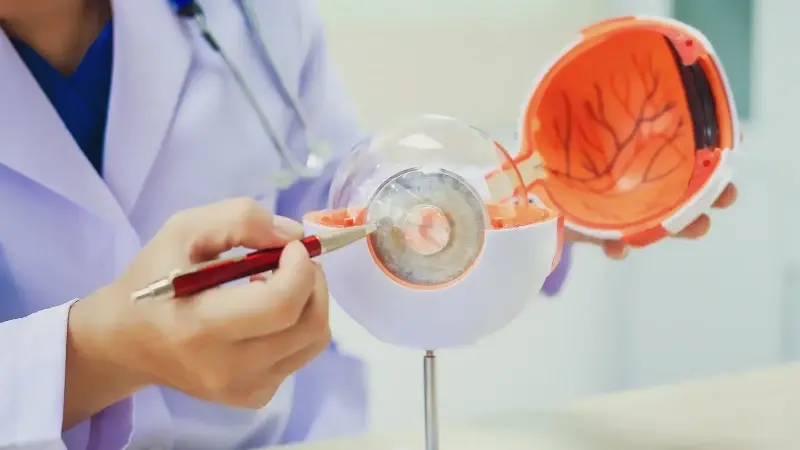 DSÖ’ye göre, dünya genelinde katarakt ameliyatı ihtiyacı artıyor